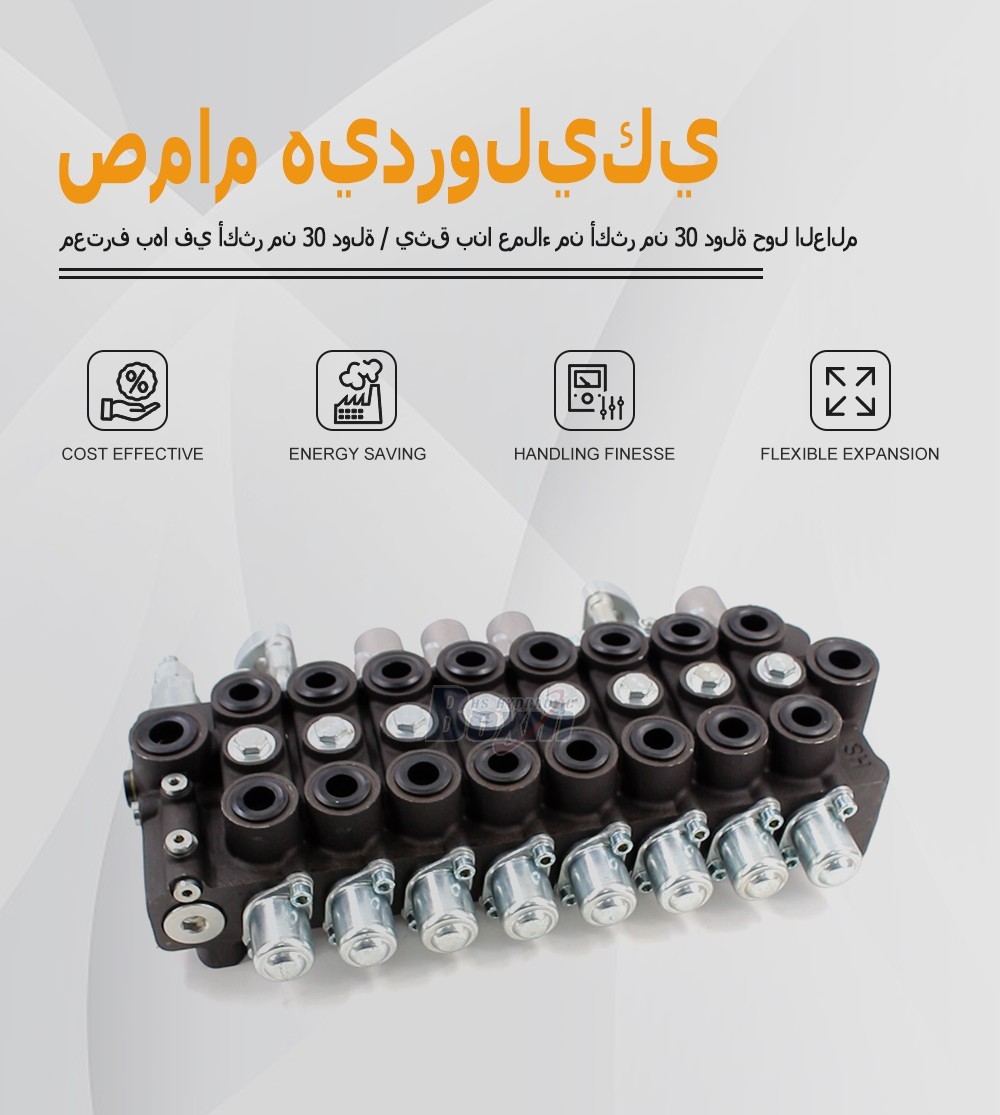 Custom OEM/ODM HSW50 8 Spool Monoblock Valve Private Label Service